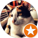 Javier Padilla profile picture